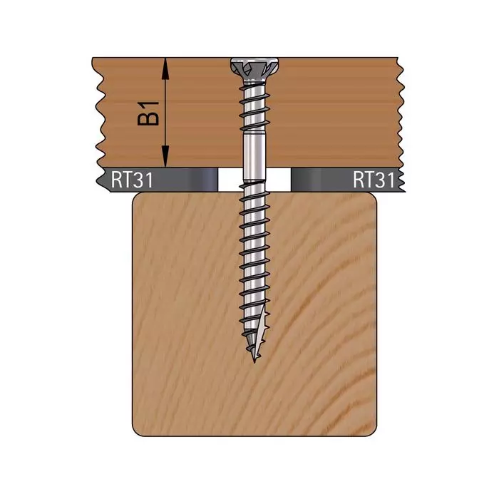 RVS vlonderschroeven 5x50mm - Reisser RT UT A2 - 1 emmer 500 stuks