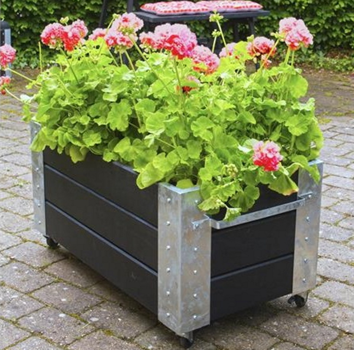 Cubic planter on wheels, also available with trellis