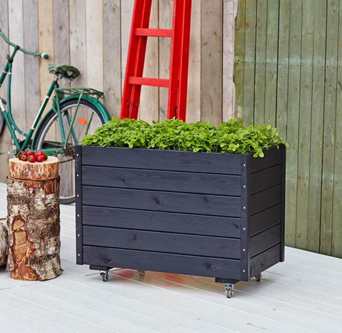 Black planter on wheels with trellis