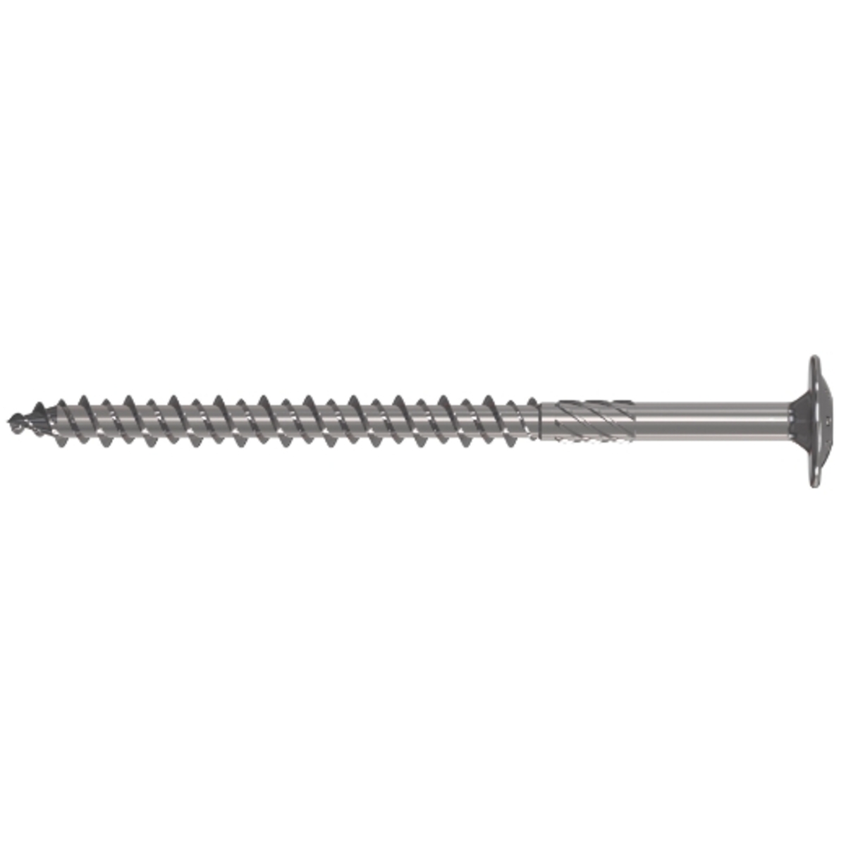 Reisser Hardwood screw TKS stainless steel with wafer head