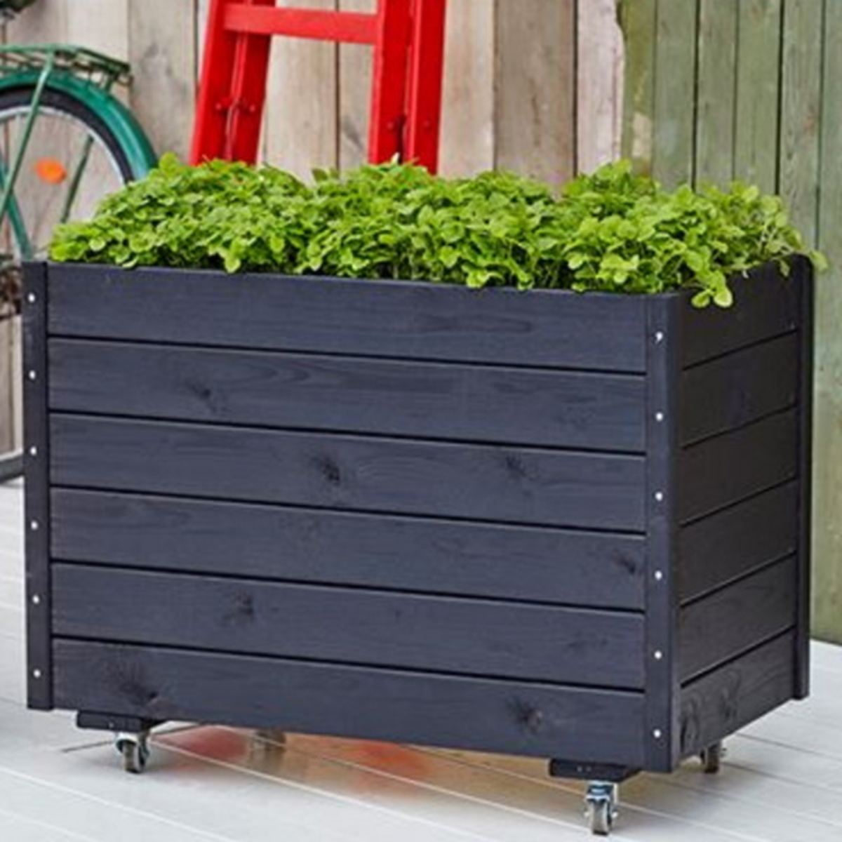 Black planter on wheels with trellis