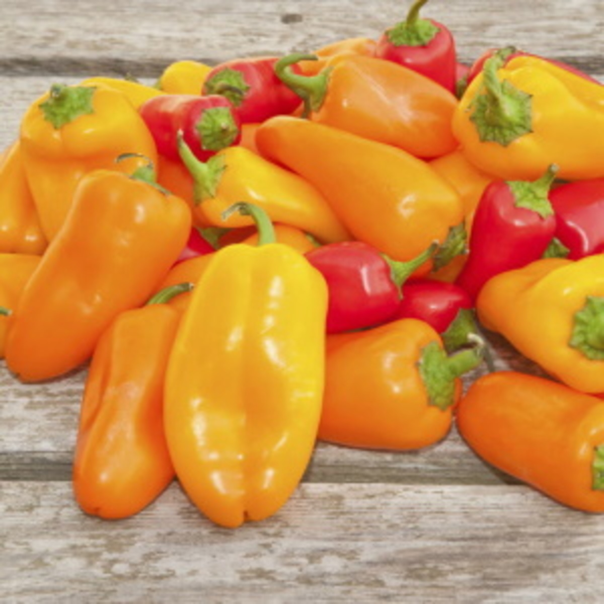 Ricetta - Mini peperoni ripieni in Morso Forno