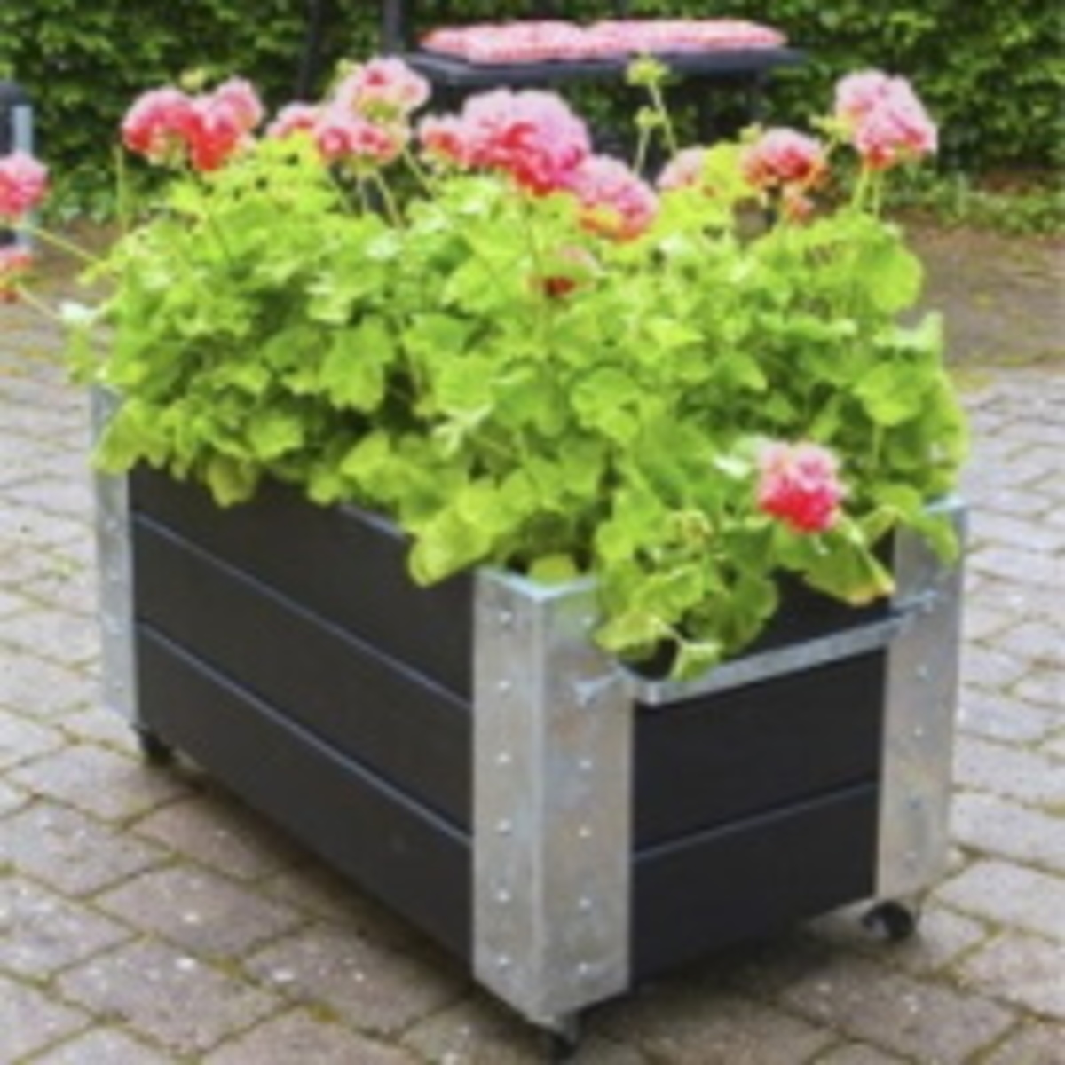 Verrijdbare plantenbak buiten Verrijdbare plantenbak buiten